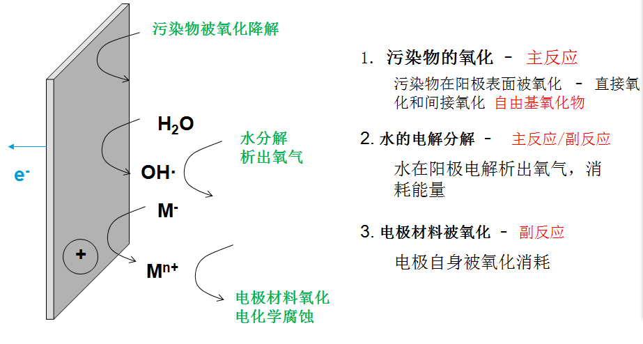阳极电化学氧化原理示意图